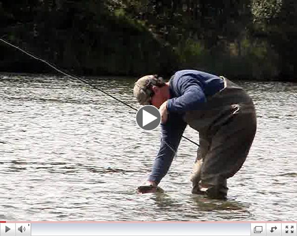 Matt Stecker Catches a Fine Alaskan Grayling...