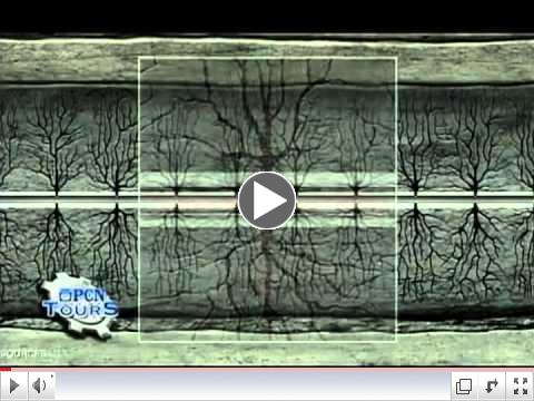 Cool Stuff Being Made: Natural Gas Drilling in the Marcellus Shale