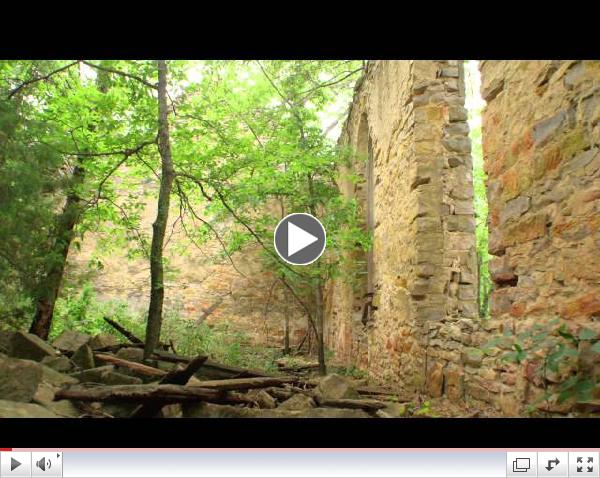 Undergraduate research experiences for Jayhawks