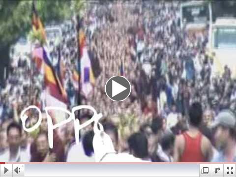 The last 100 years of nonviolence