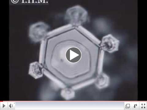 Water, Consciousness & Intent: Dr. Masaru Emoto