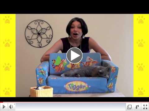 How 2 Organize Your Pet Supplies