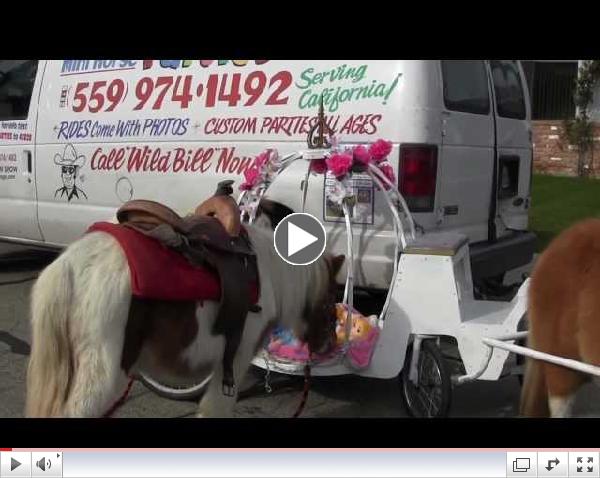 My Little Princess Carriage Ride Party