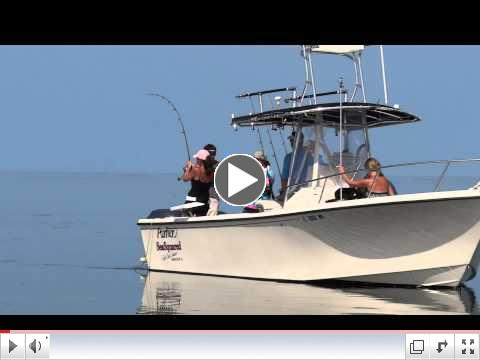 Kristie fights a lemon shark, Florida Keys with Capt. Chris Johnson, SeaSquared Charters 7/9/11