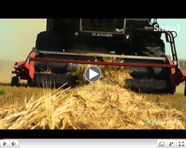 Farmery Brewery on Shaw TV