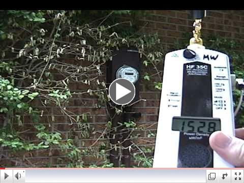 Stratford Smart Meter and a Shrub