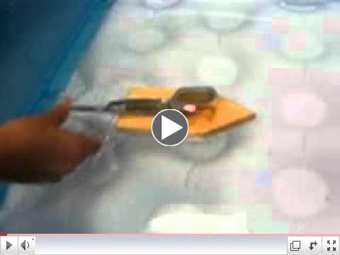 Mini Steamboat