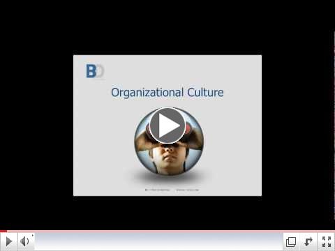 Organizational Culture-Multiple Perspectives.mp4