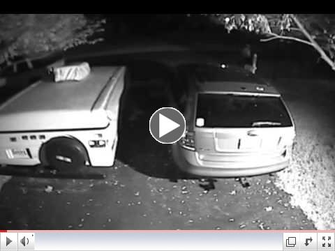 Attempted Theft ftom Auto - Skymist Terace, Olney