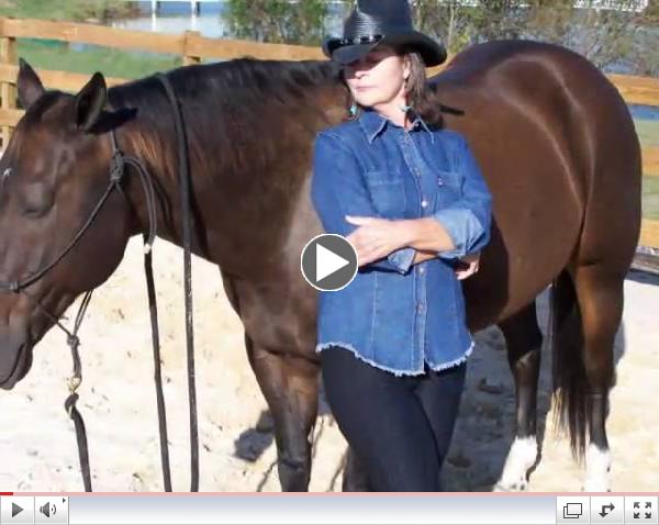 Susan Klaudt Horse Ministry - Horses And Hearts