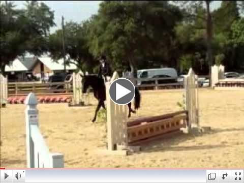 Sable (1st Show @ 4 years old)