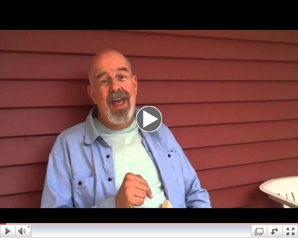 A summer message from the Bishop