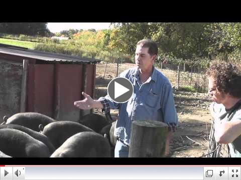 Visiting Willow Creek Farm with Chef Dan Fox