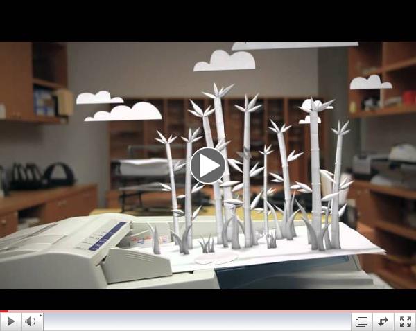 TreeFrog Paper - Copy Room