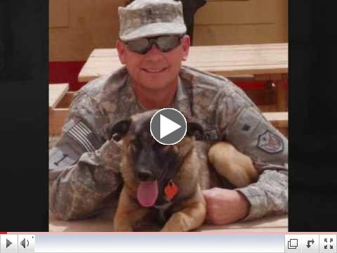 Operation Baghdad Pups to the Rescue