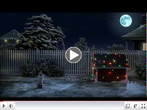 dog waiting for santa.flv