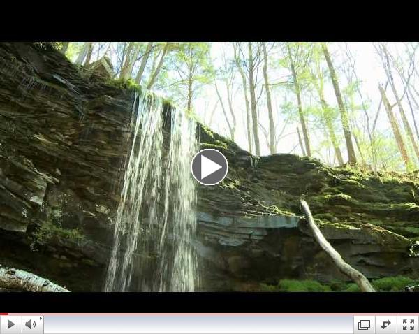 Save Forests With Responsible Drilling