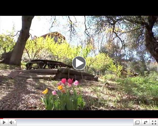 A Peaceful Place Apart: Retreats at Camp Stevens