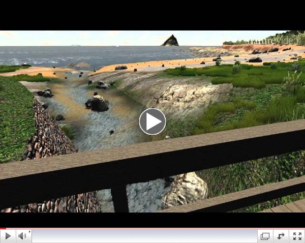 Virtual Environments for Health