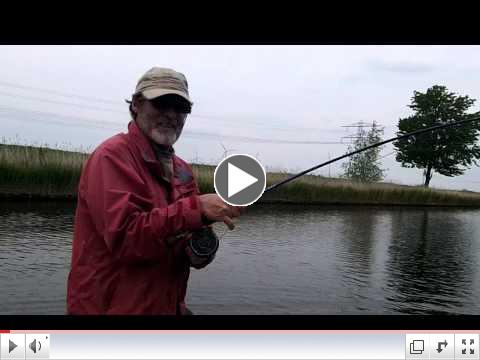 Pike fishing in Holland