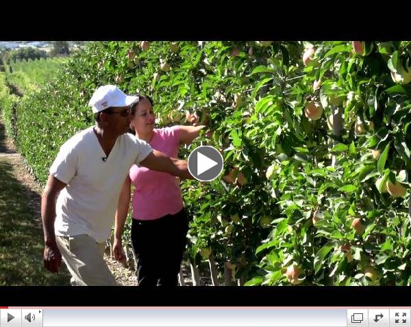 Meet Your BC Ambrosia Apple Growers Ronnie and Avtar Mann