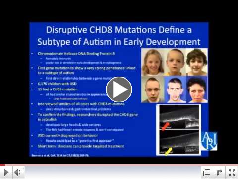 GI issues & ASD Serotonin as a Potential Brain Gut Link 