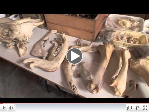 The Perfect Human Diet Trailer