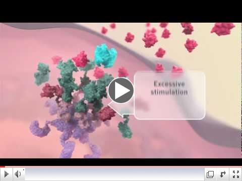 Medical Narration by Rory O'Shea: IL-1 beta-pathway