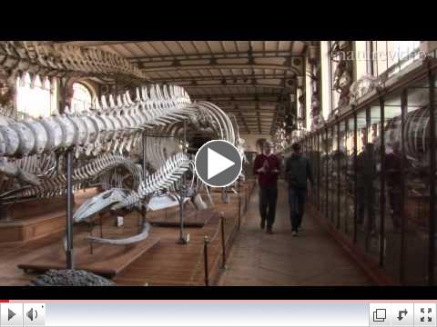 The jaws of the Leviathan: by Nature Video