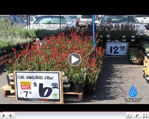Spring Plant Fairs 2014