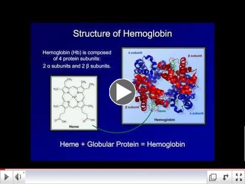 Dyshemoglobinemia: Methemoglobin and Carbon Monoxide Poisoning