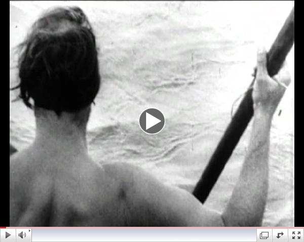 Kon-Tiki and the meeting with the Whaleshark