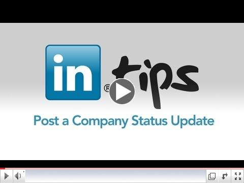 Post a Company Status Update on LinkedIn