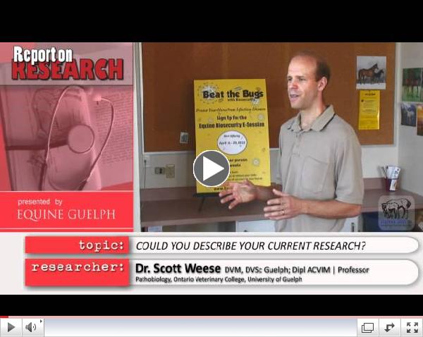 Weese, Scott - Biosecurity for Horse Farms - Report on Research