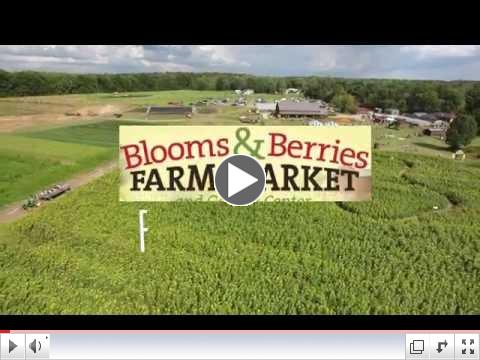 Fall On The Farm Excitment!