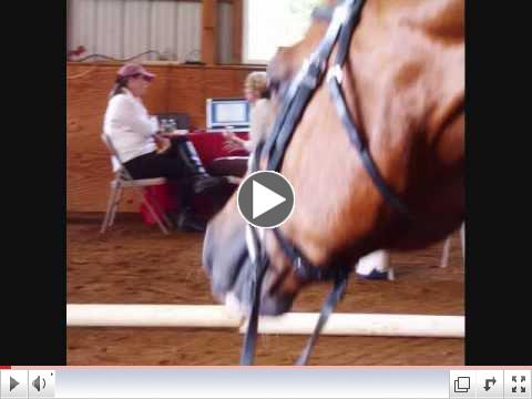 Clinic with Dr. Maria Katsamanis New Jersey August 25-27