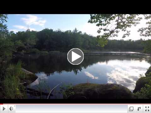 Mud Lake Stream behind Wheaton's