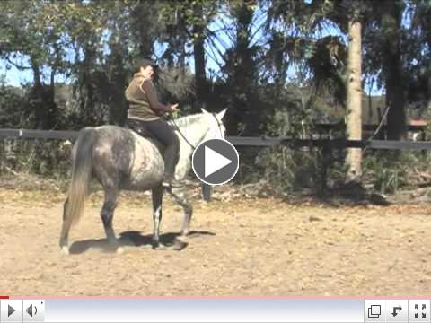 Pilates for Dressage Lesson: Open Your Hips for Better Seat Position