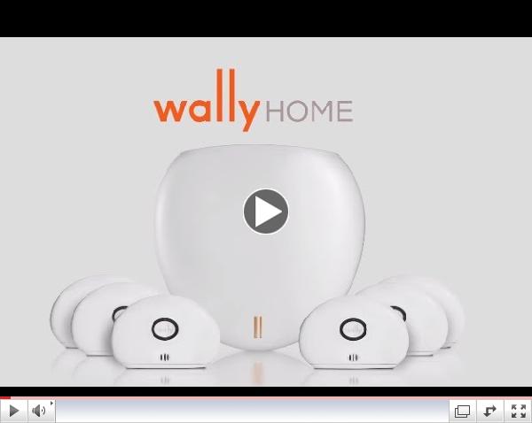 Introducing WallyHome