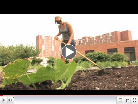 Breaking New Ground | The New School Environmental Studies Program