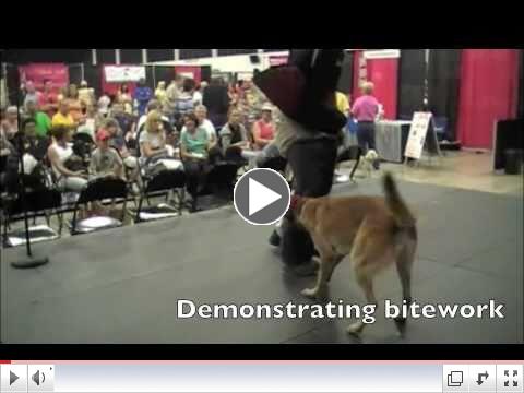Sit Means Sit- Demo at Amazing Pet Expo 2011