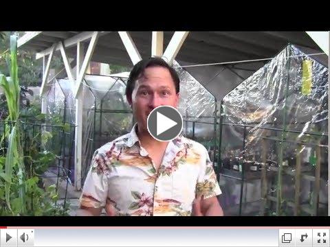 Growing Fall/Winter Crops in $17.50 Greenhouses To Have Fresh Food Over the Winter
