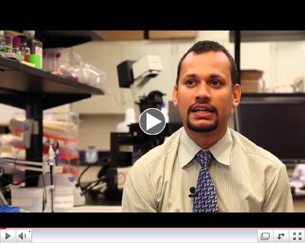 CVHS Summer Research Training Program Success