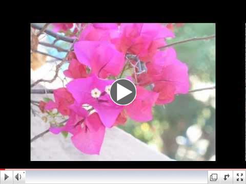 A Life-Changing Valentine's Relationship Retreat in Mexico w/ Allan Hardman