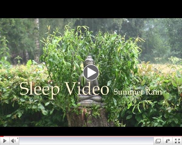 Summer Rain - Sleep Video - 60mins Nature Sound - Relaxation & Restful Sleep