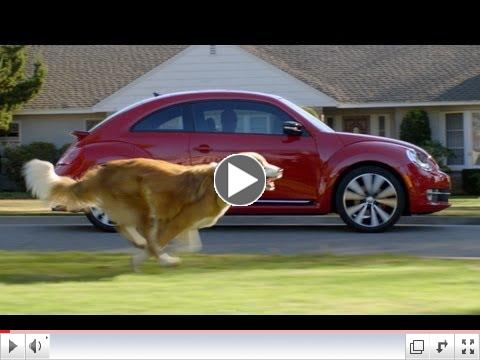 The Dog Strikes Back: 2012 Volkswagen Game Day Commercial