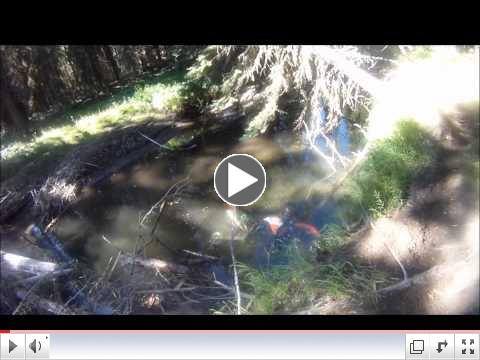 The Creek.wmv
