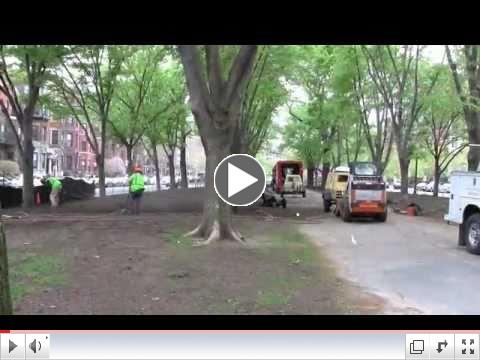 Air Spading a Boston Landmark