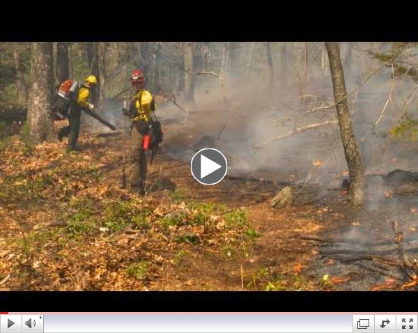 Handline Construction for Forest Fire Control