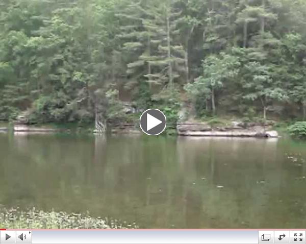 A Beautiful Pine Creek Pool